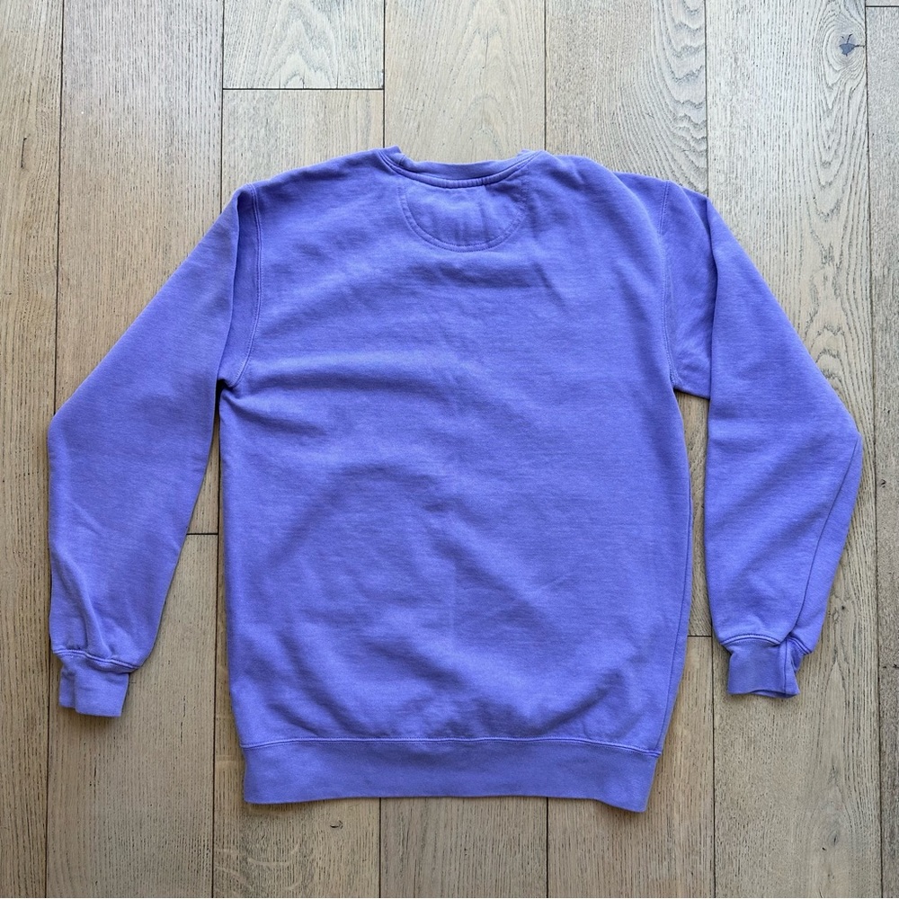 🆕 Taylor Swift Inspired Long Live Purple Crewneck with Disneyland Castle - Picture 4 of 7